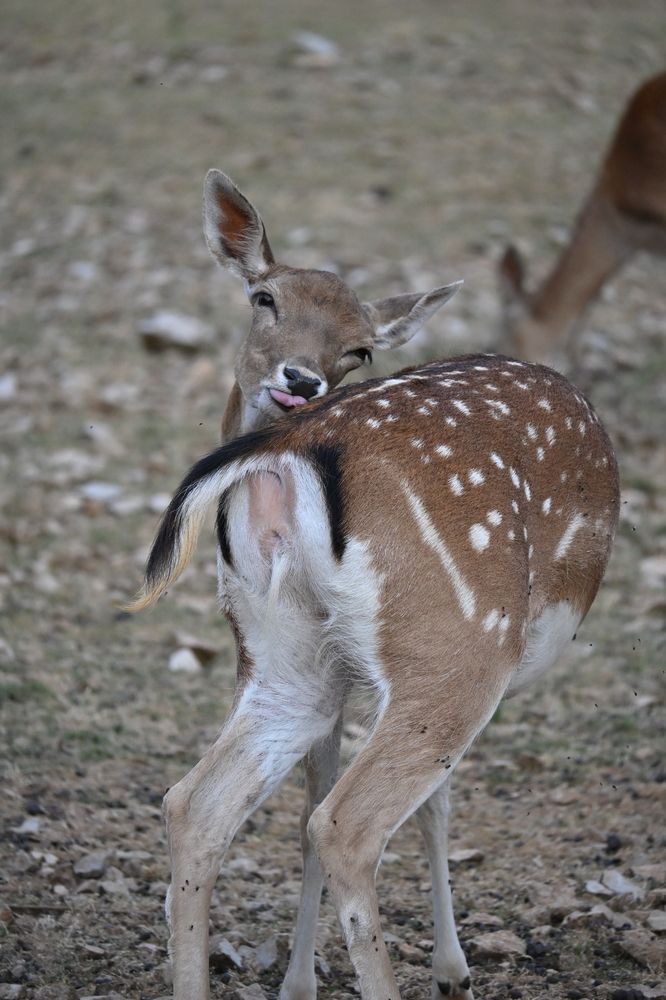 Photograph by MariaVittoria Amoruso