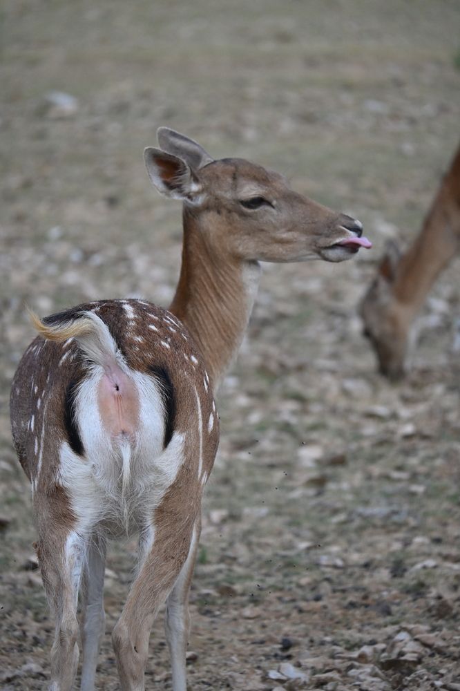 Photograph by MariaVittoria Amoruso