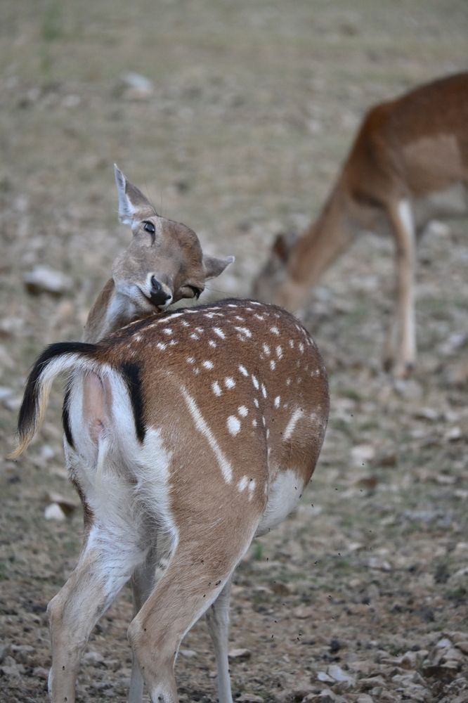 Photograph by MariaVittoria Amoruso