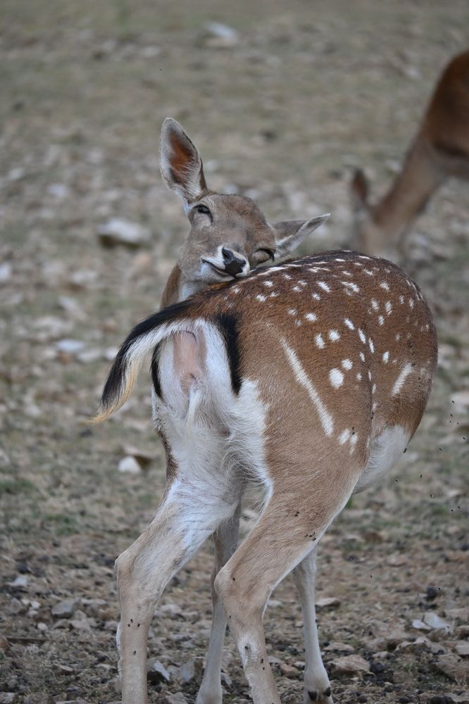 Photograph by MariaVittoria Amoruso