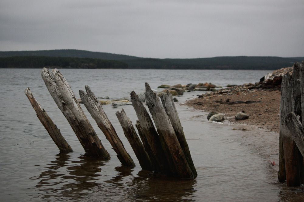 Побережье Белого моря