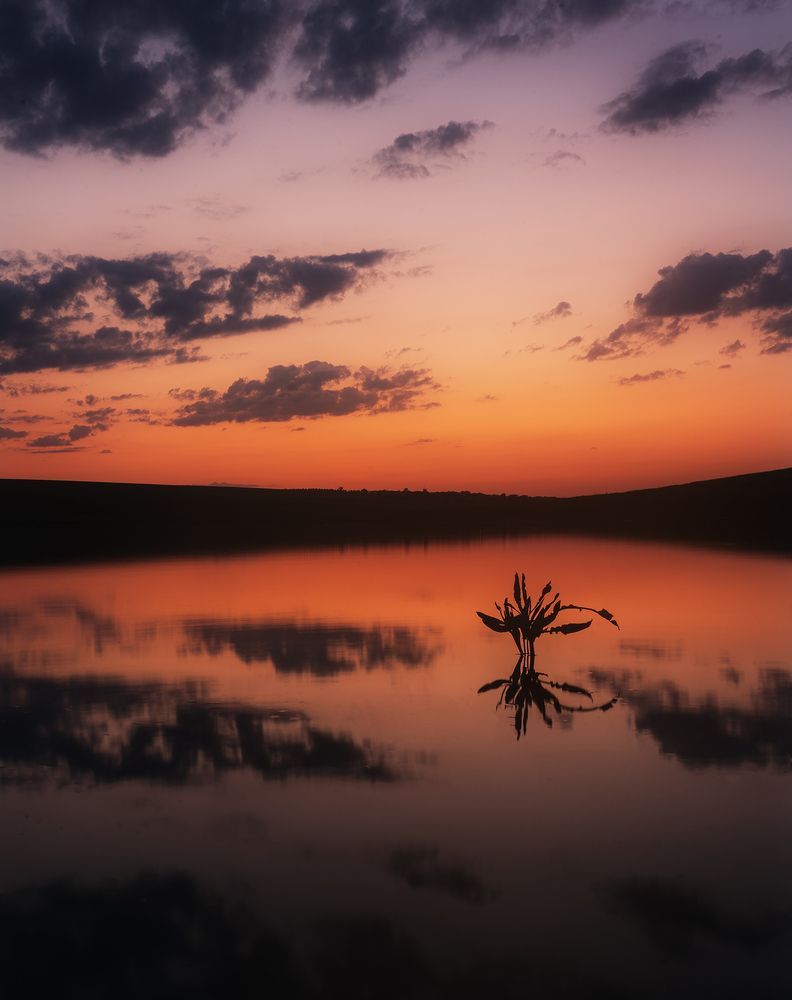 Photograph by Oleg Suhenko