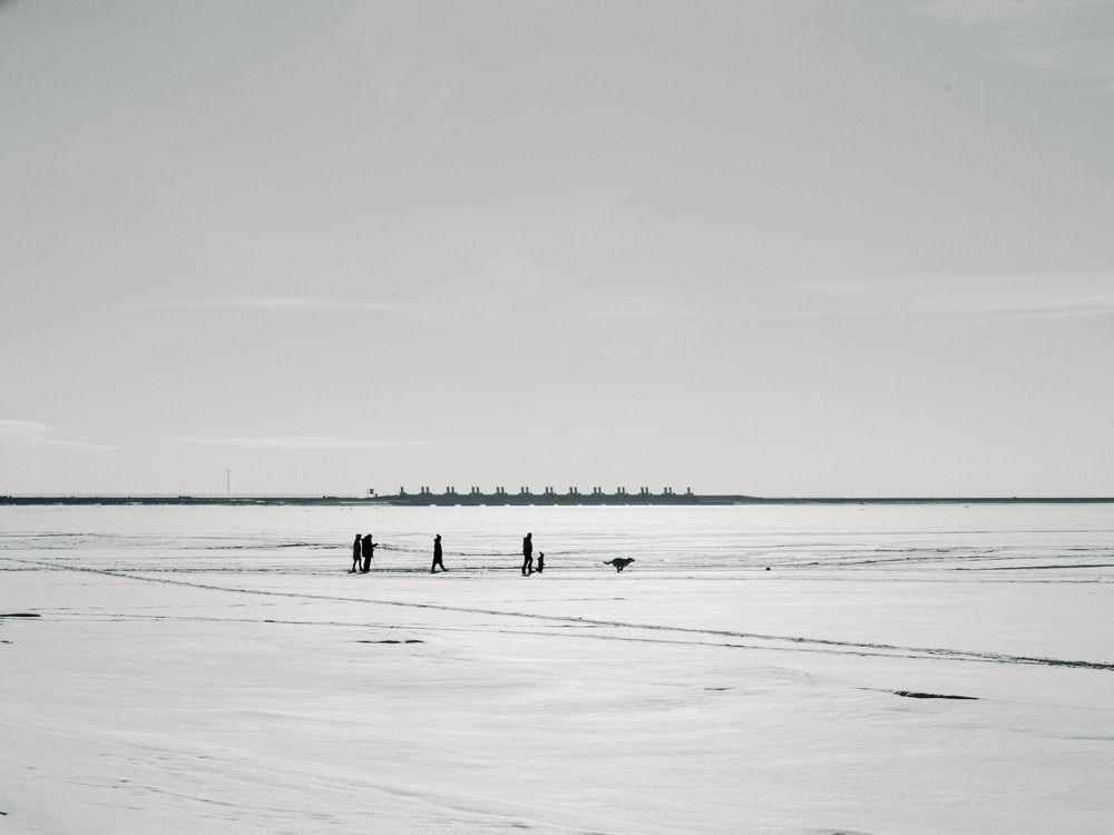 Семья на тонком льду, ведомая собакой