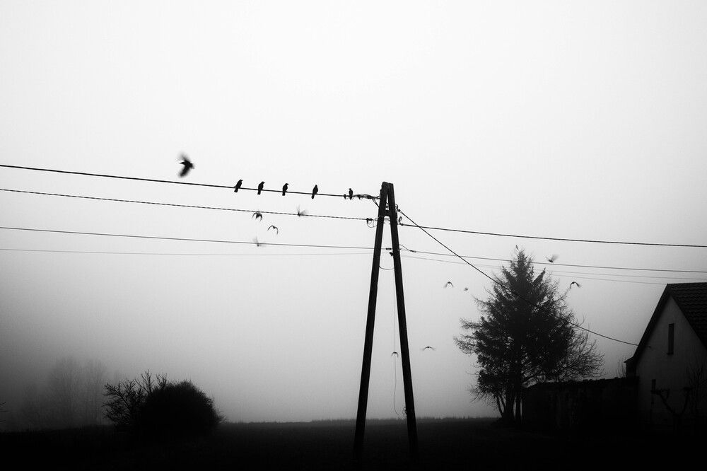 Photo #12304004