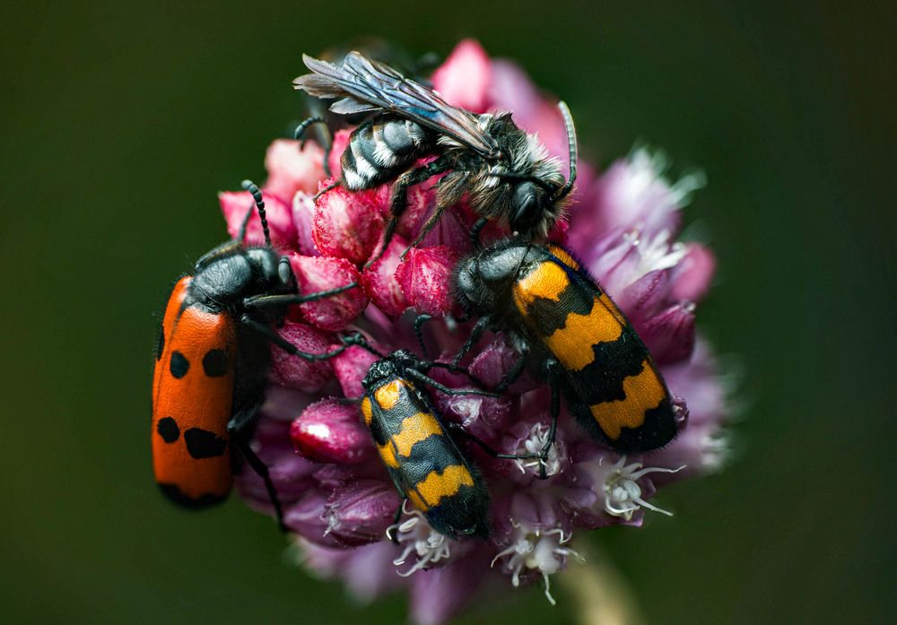 Фотография автора Lubov Maslova