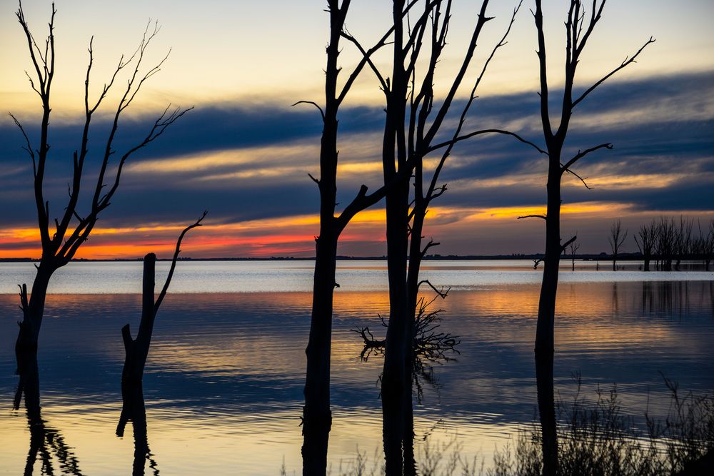 Photograph by Ricardo Kimmich