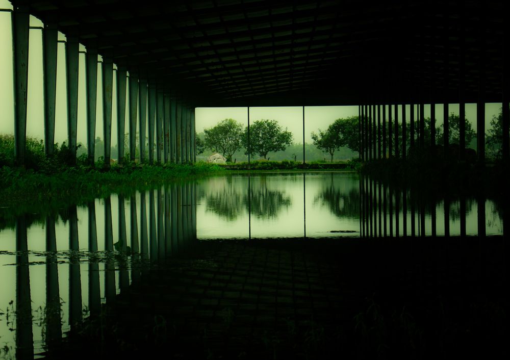 Photograph by Md. Shoyeb Hossain