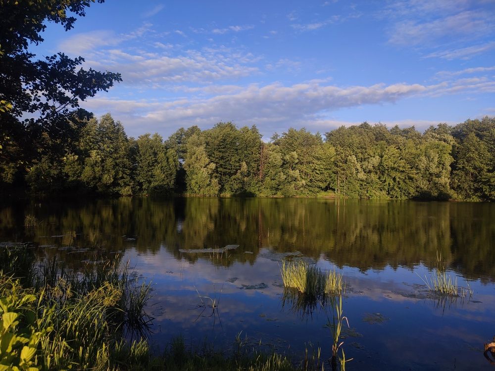 Photograph by Хоменчук Людмила