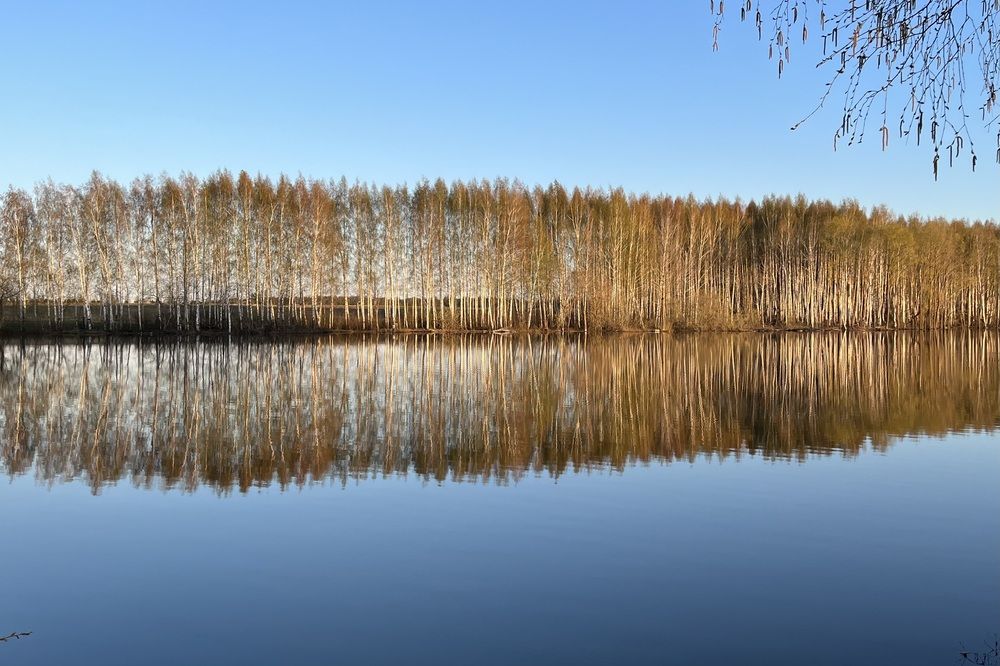 Photograph by Julia Andreeva