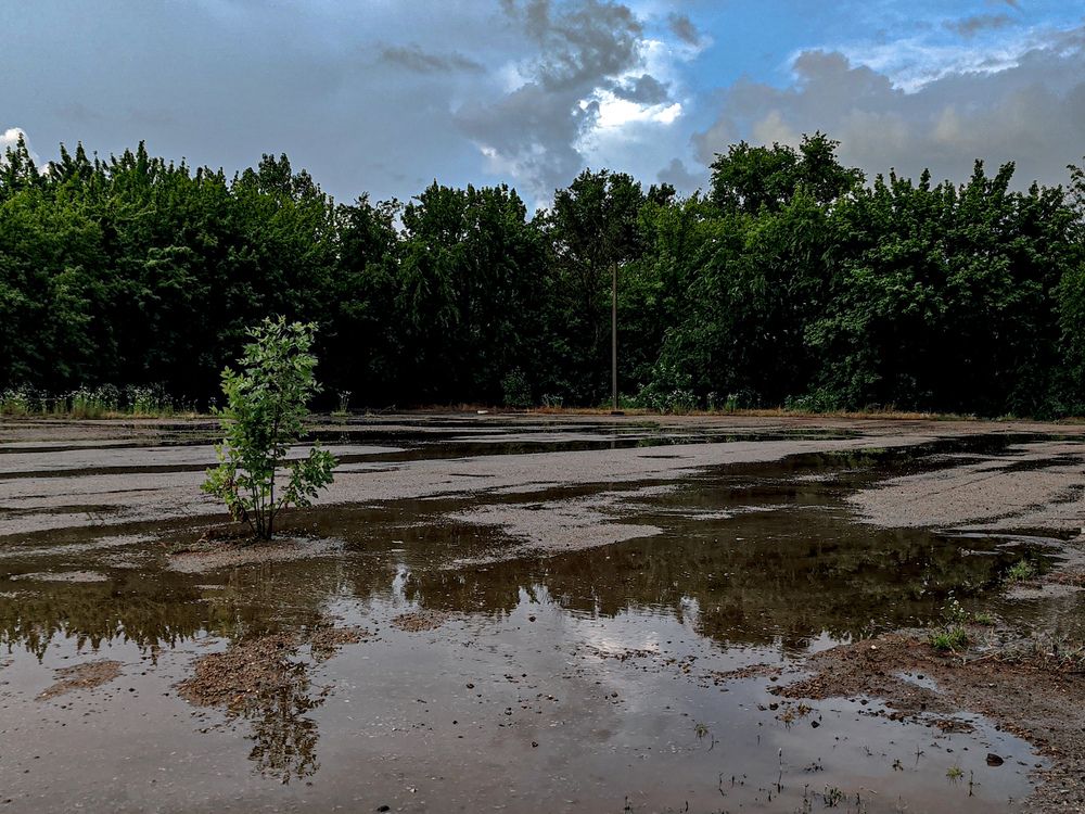 Фотография автора OXANA NAUMOVA