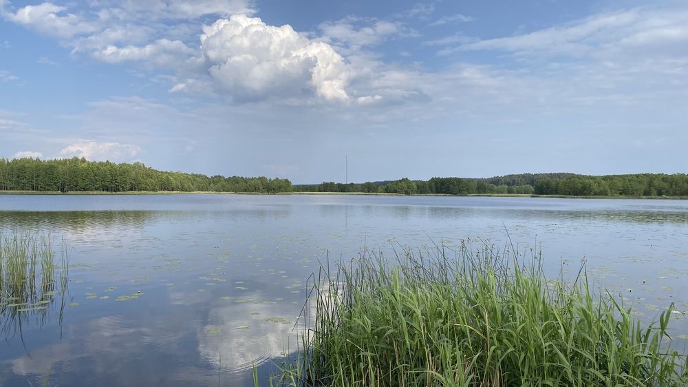 Водная гладь