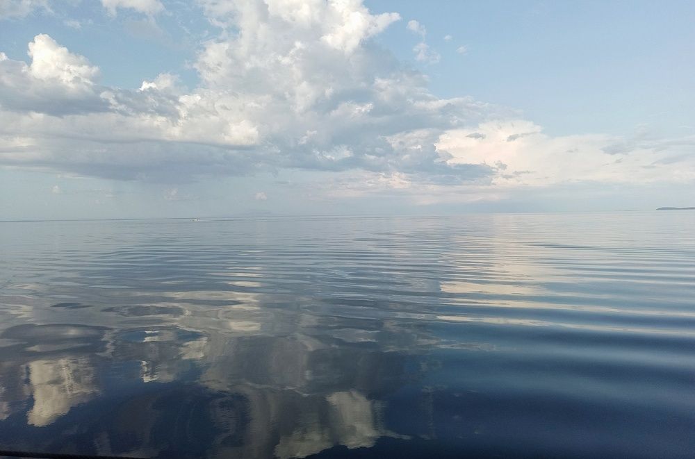 Photo #12304267