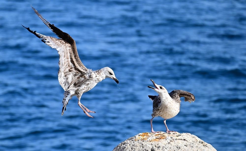 Photograph by Светлана Ивановна