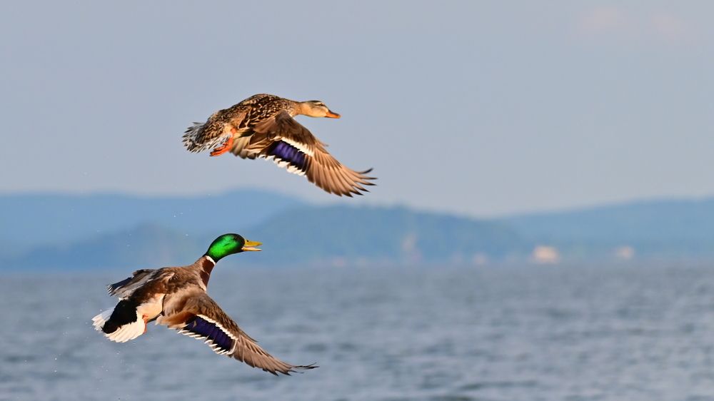 Photograph by Светлана Ивановна