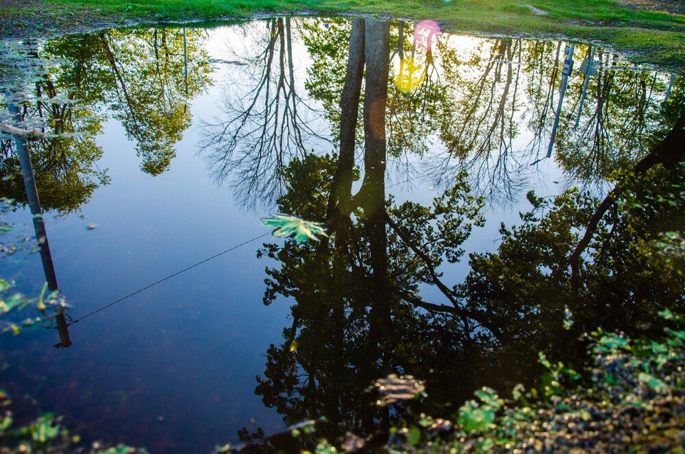 Photograph by Галина Ложечникова