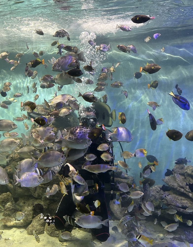 Photograph by Майя Чехова