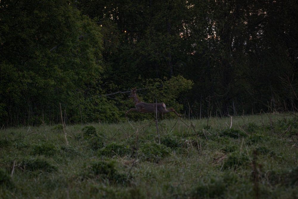 Photograph by Хабаров Сергей