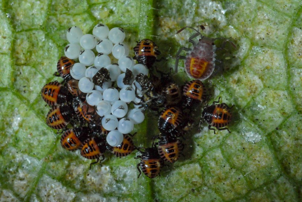 Фотография автора Римма Волченко