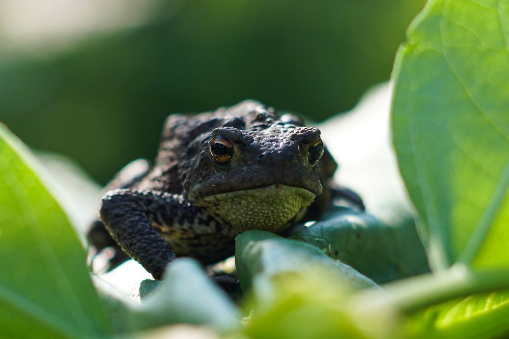 Photograph by Анастасия Симакова