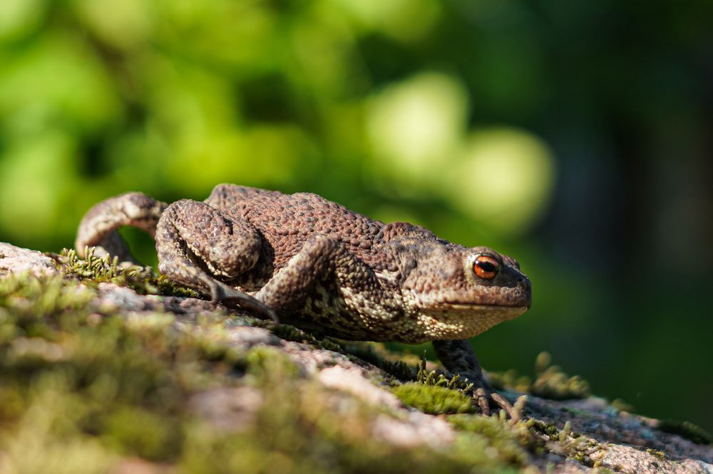 Photograph by Анастасия Симакова