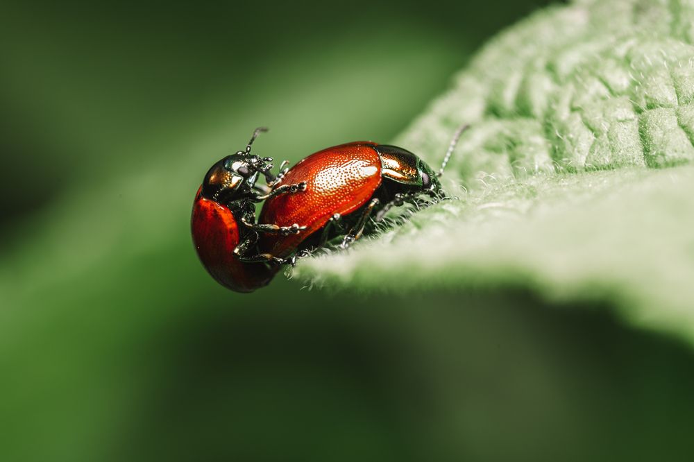 Photograph by Сергей Белокуров