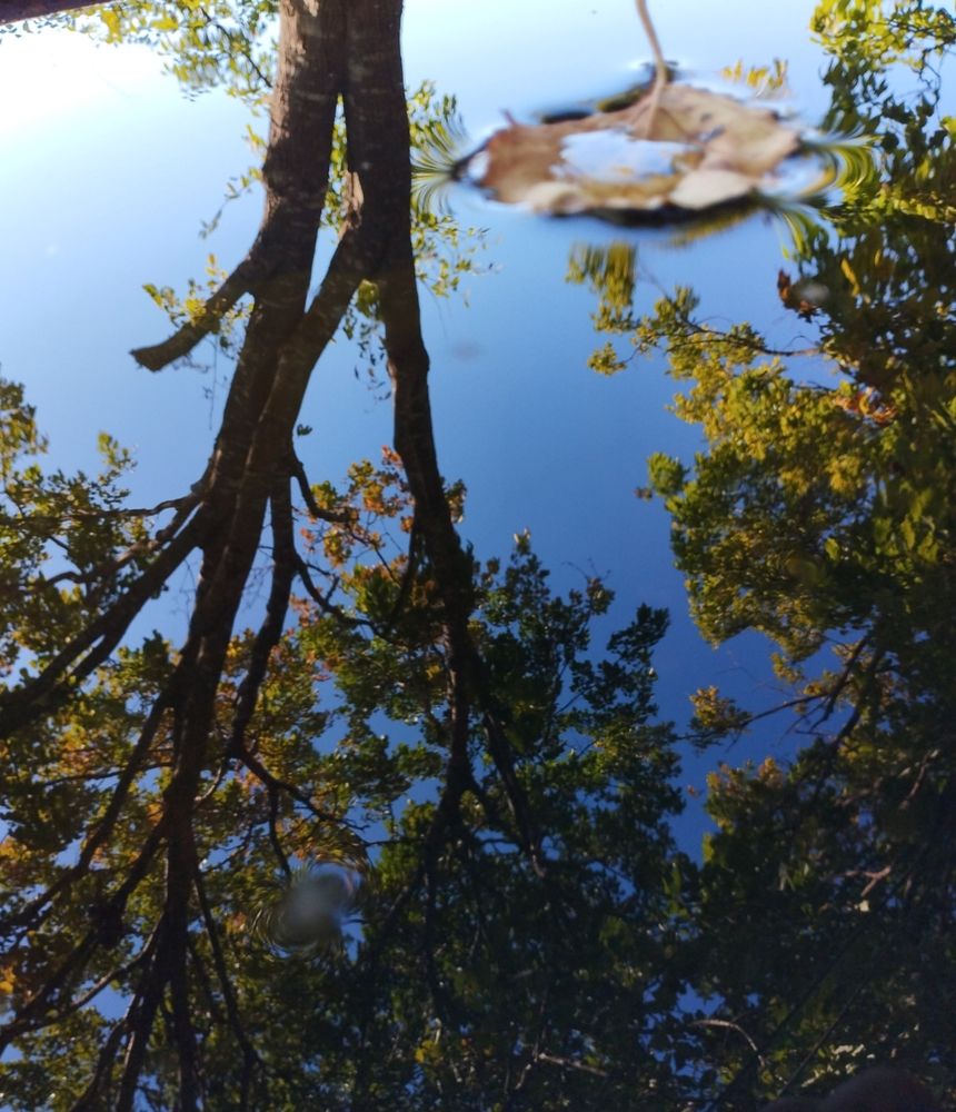 Photograph by Наливайко Татьяна
