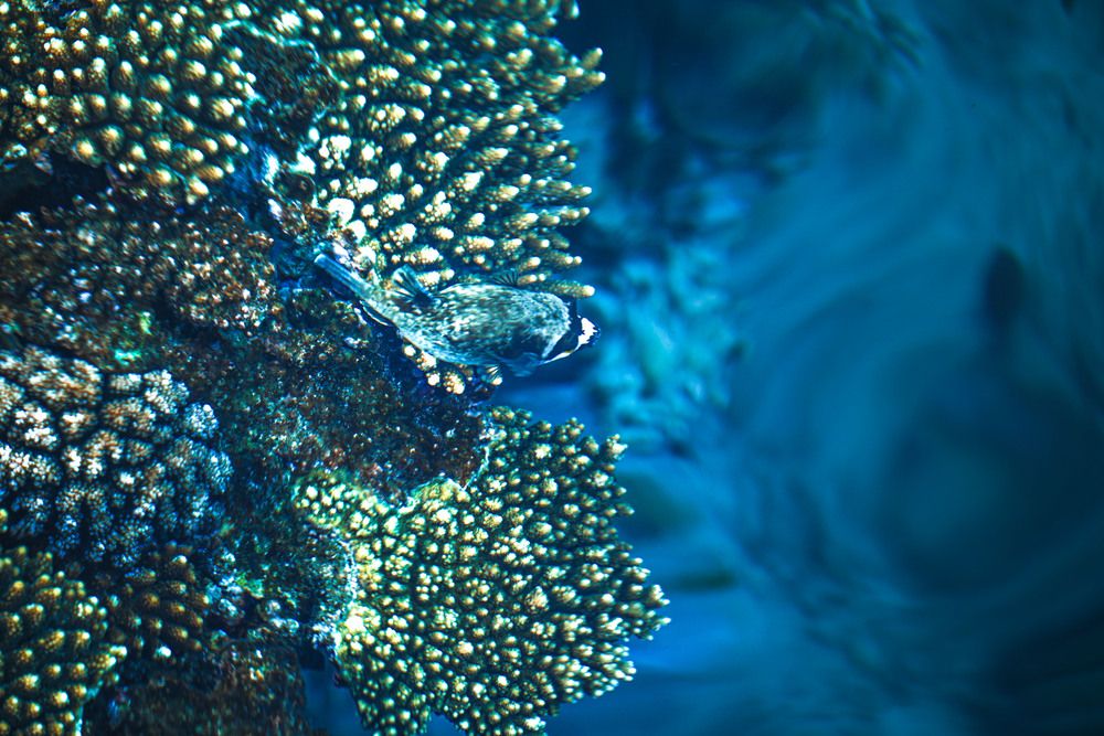 Photograph by Asmaa ELTouny