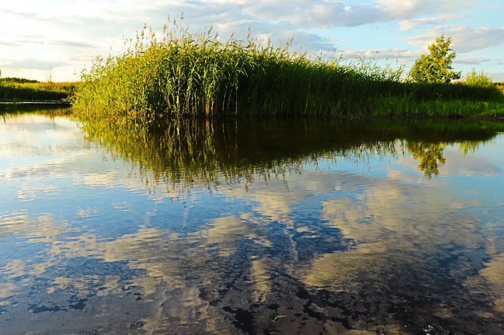 Photograph by Родосская Нонна