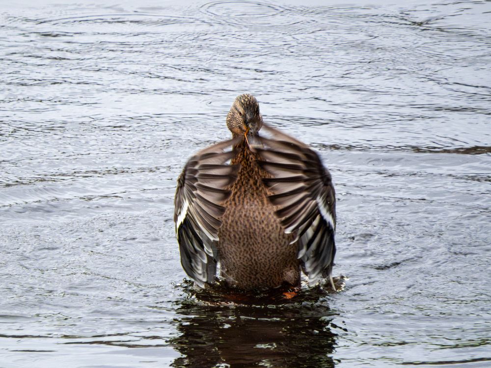 Photograph by Evgeny Ilyin