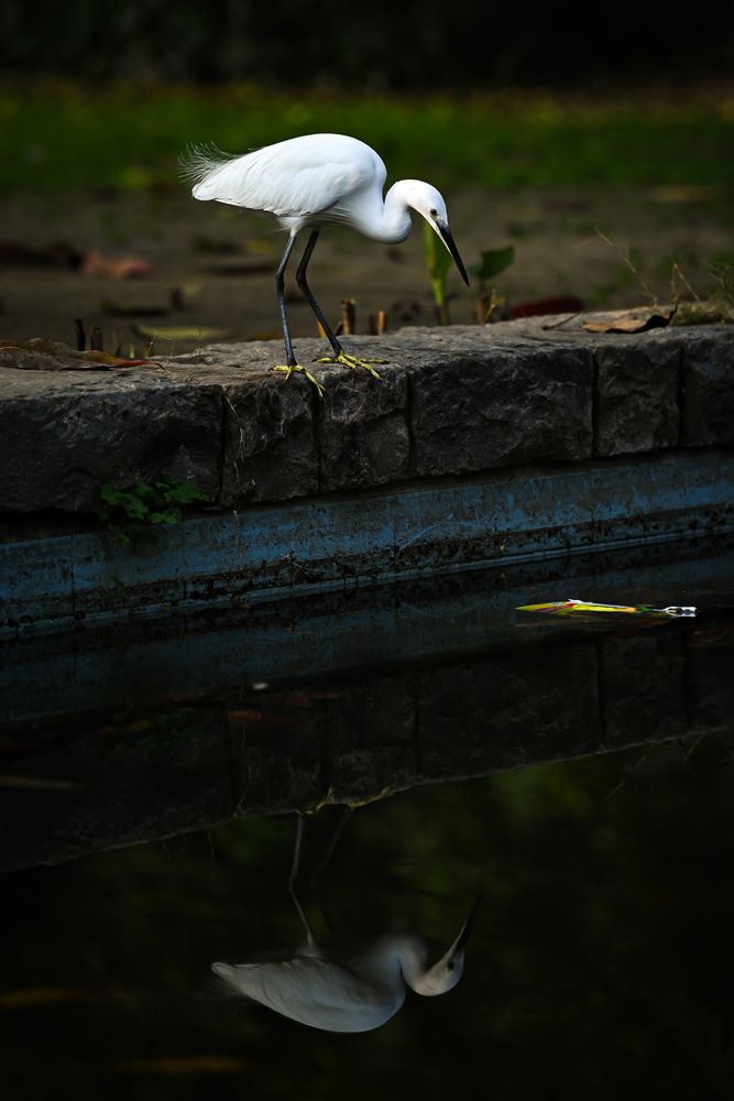 Photograph by HARSHIT MISHRA