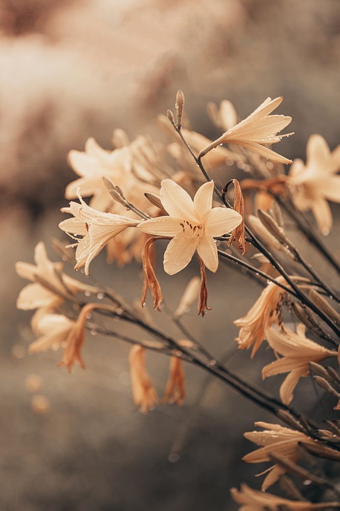 Photograph by Сергей Белокуров