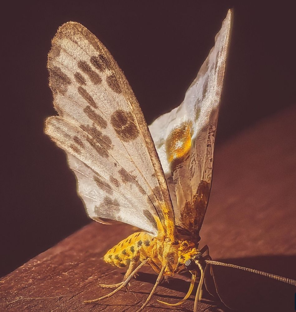 Photograph by Сергей Гриднев