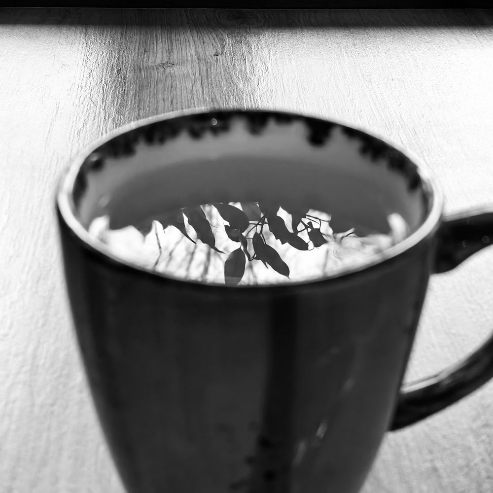 Photograph by Ольга Зимарина