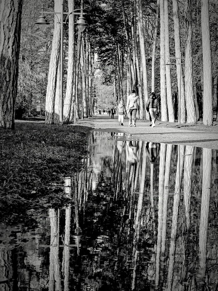 Photograph by Miloš