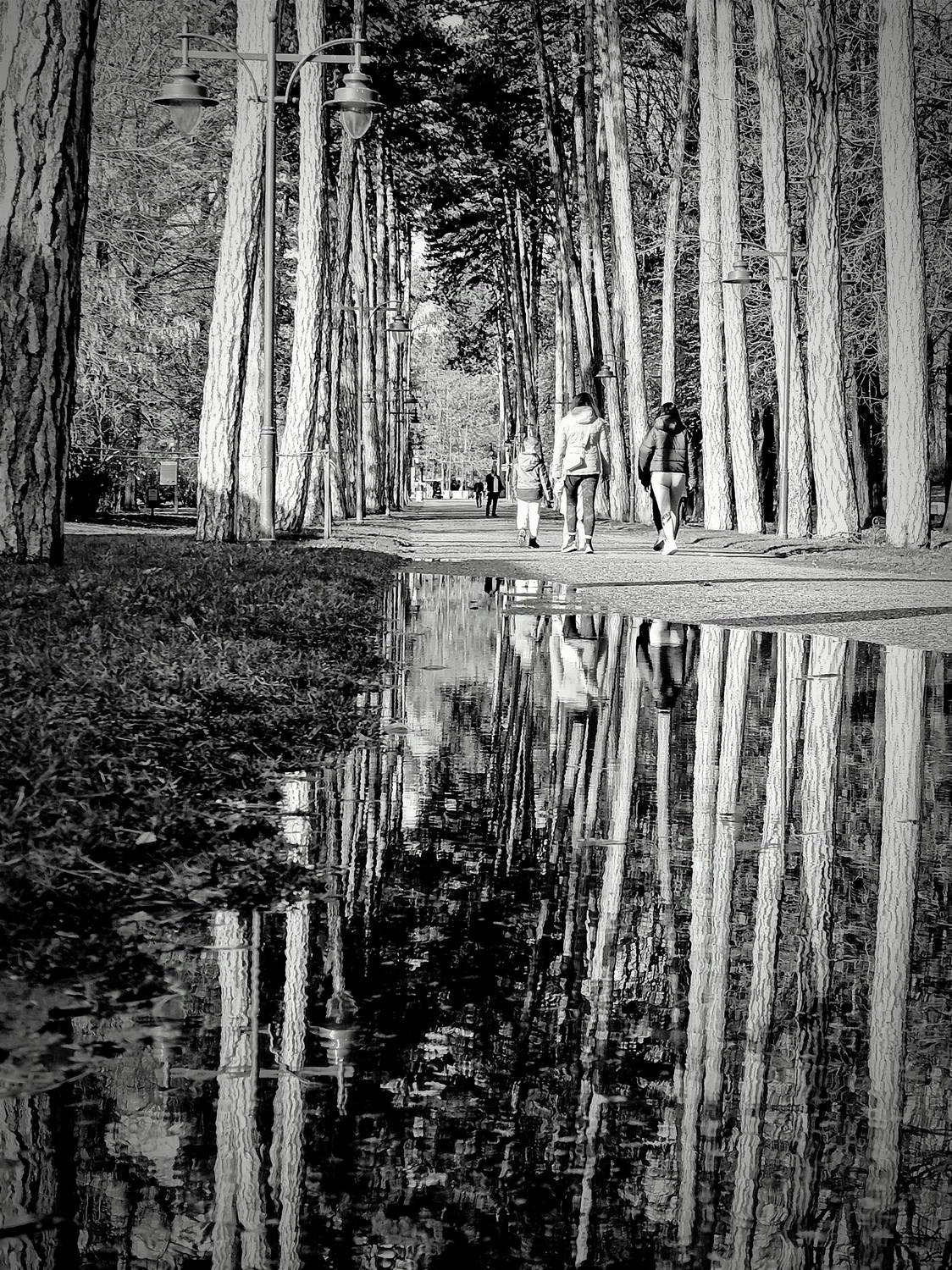 Photo #12304682