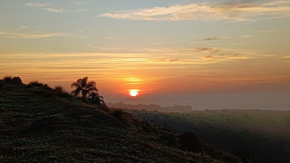Photo #12304735