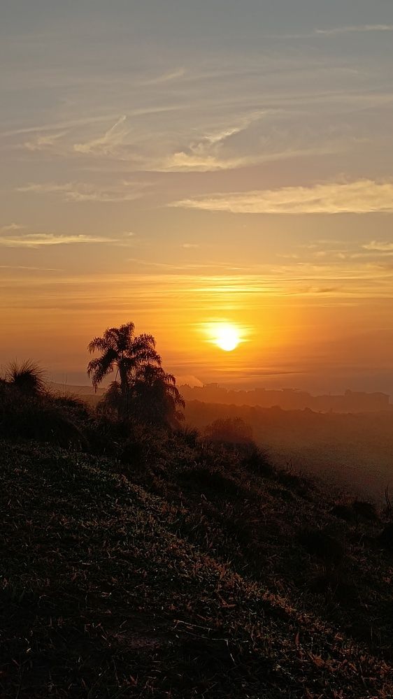 Photo #12304738