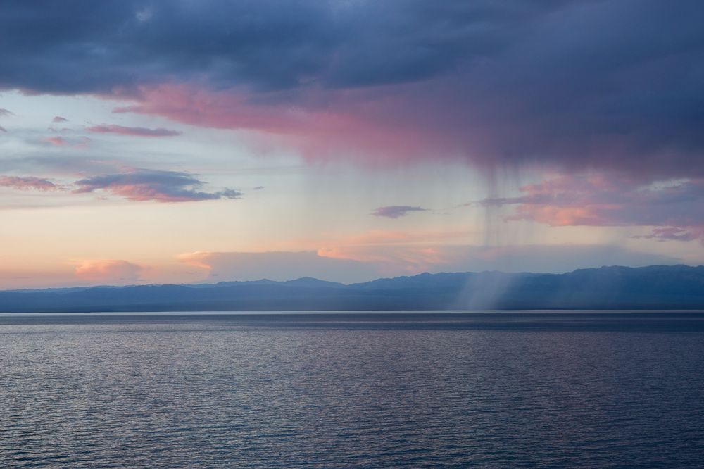 Photograph by Olga Sharikova