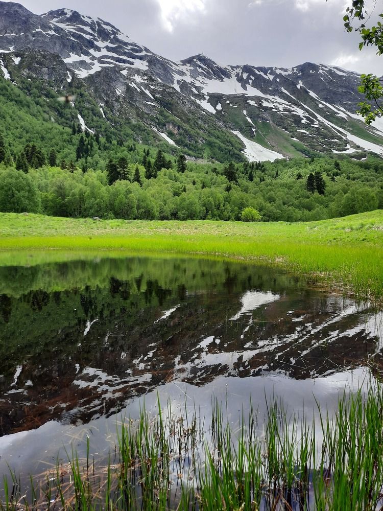 Photograph by Елена Валерьевна