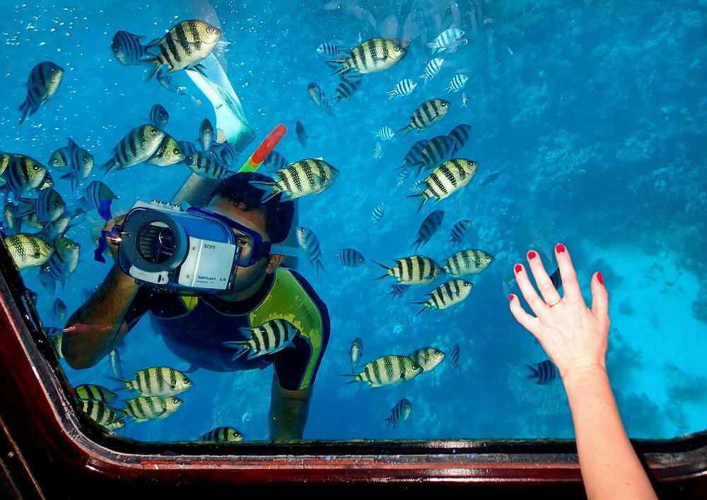 Фотография автора Е лена Е