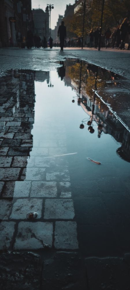 Photograph by Benjamin Niquet