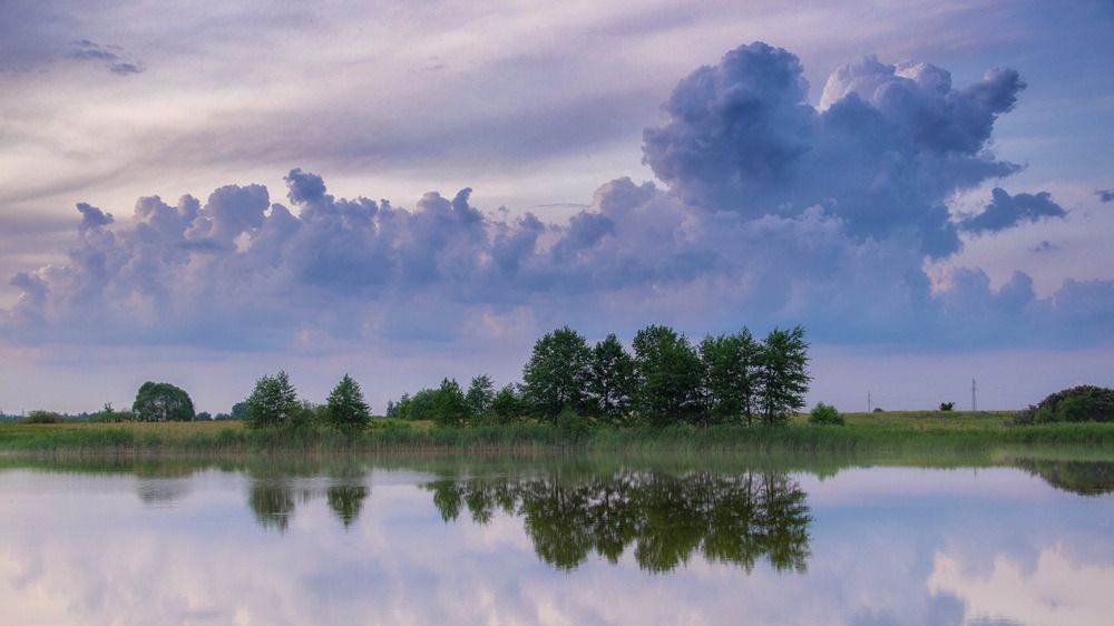 Photograph by Alexander Eliseev