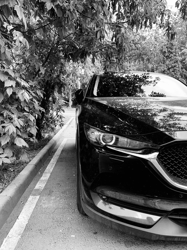 Photograph by Елена Макуха