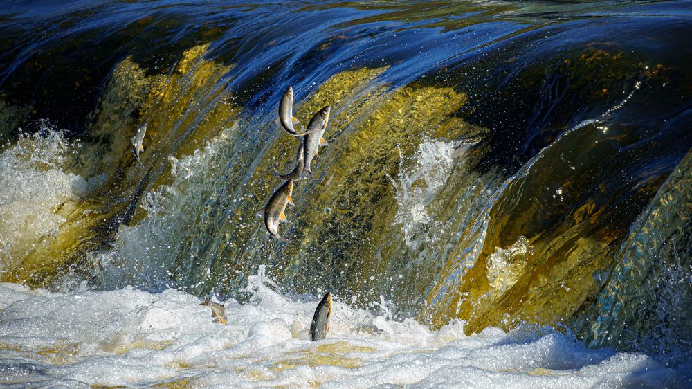 Photograph by Valdis Serzhans