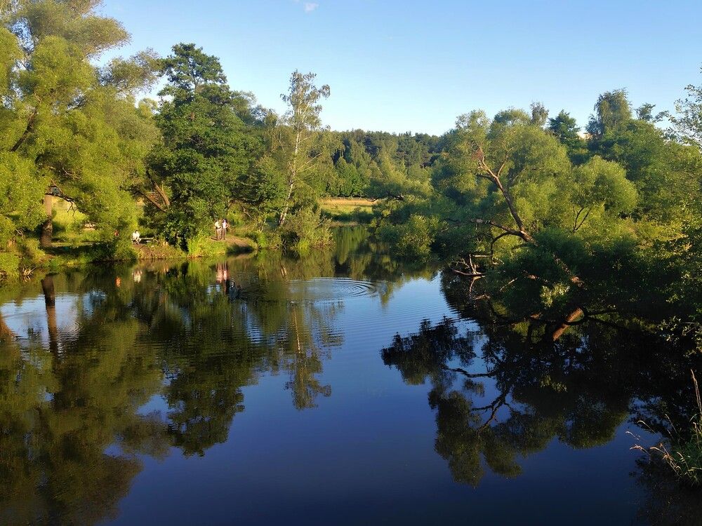 Река Рожайка. Домодедово.