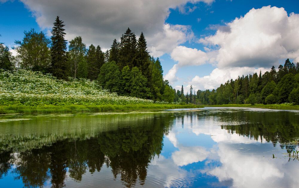 Photograph by Михаил Бояркин