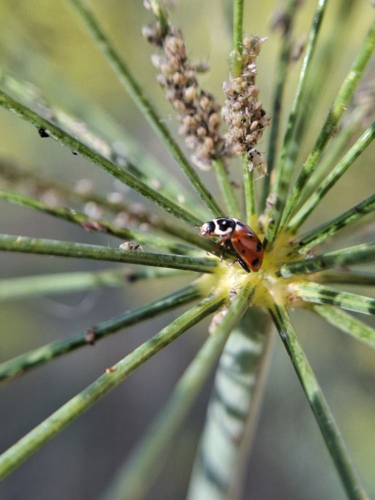 Photograph by Анна Степанова