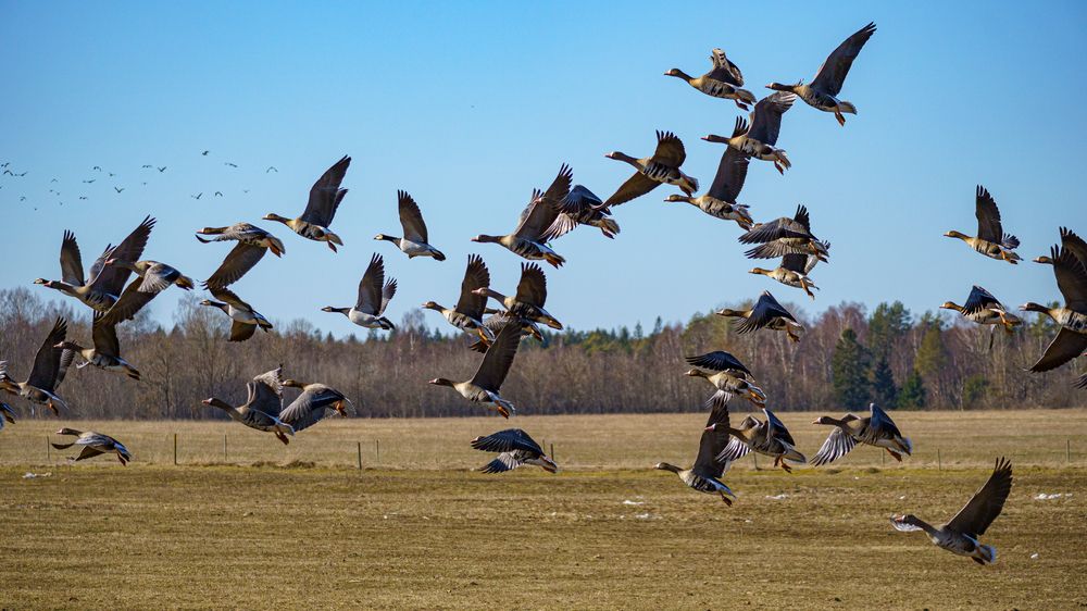 Photograph by Valdis Serzhans