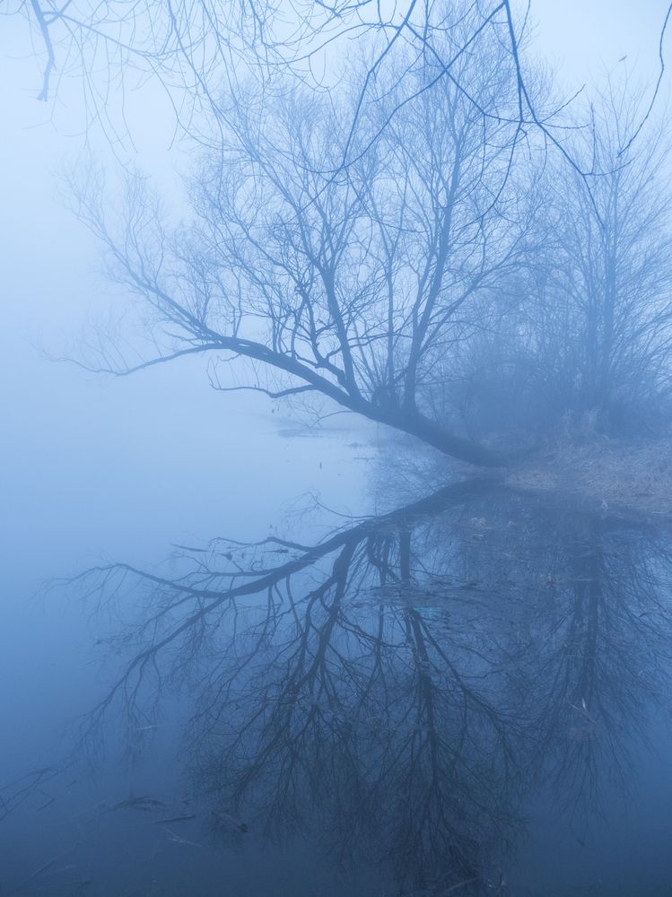 Photograph by Надежда Михайлина