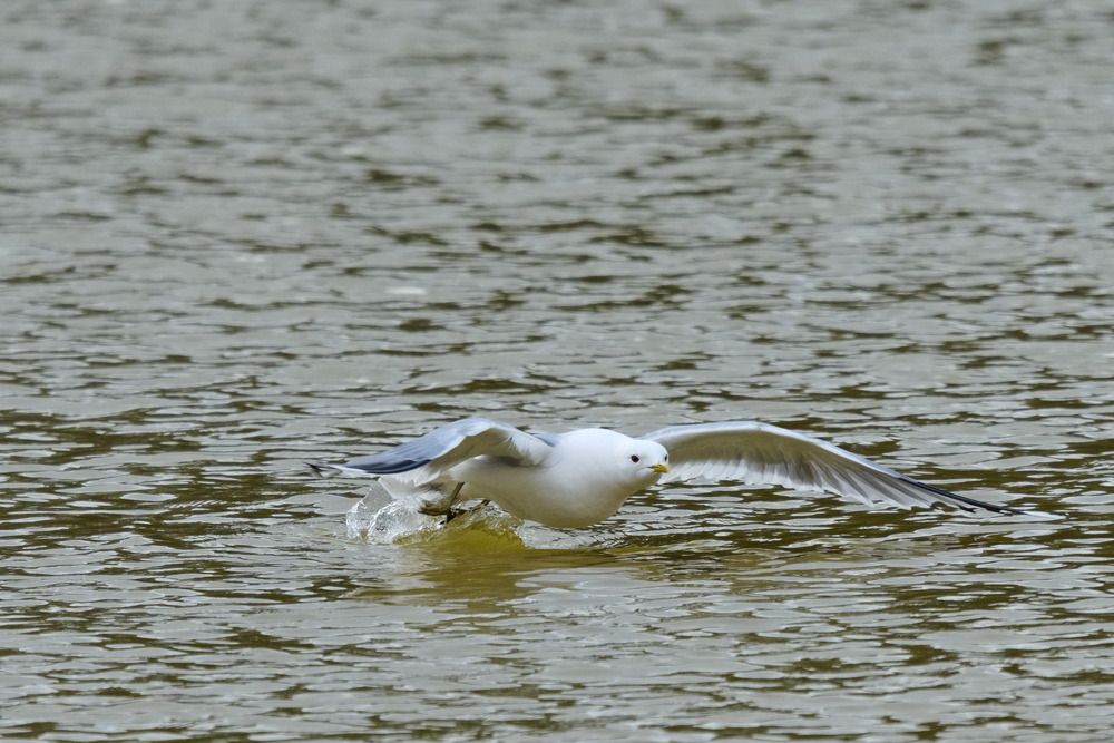 Photograph by Ольга Якубова